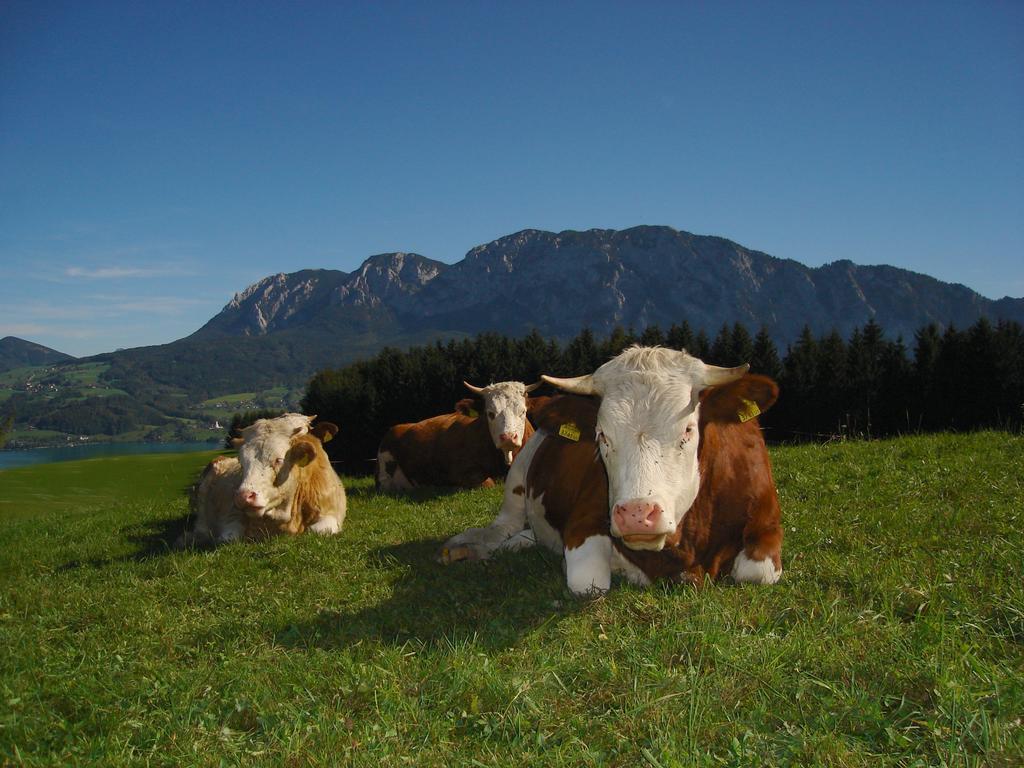 Ferienhof Margarethengut Unterach am Attersee Luaran gambar