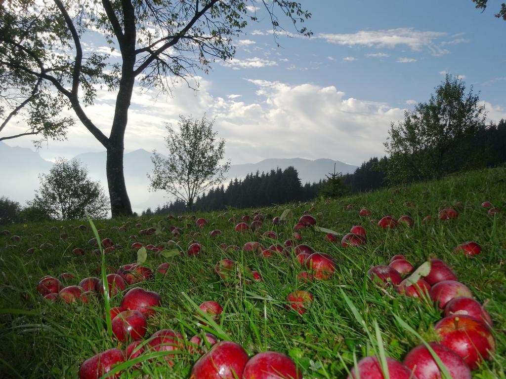 Ferienhof Margarethengut Unterach am Attersee Luaran gambar