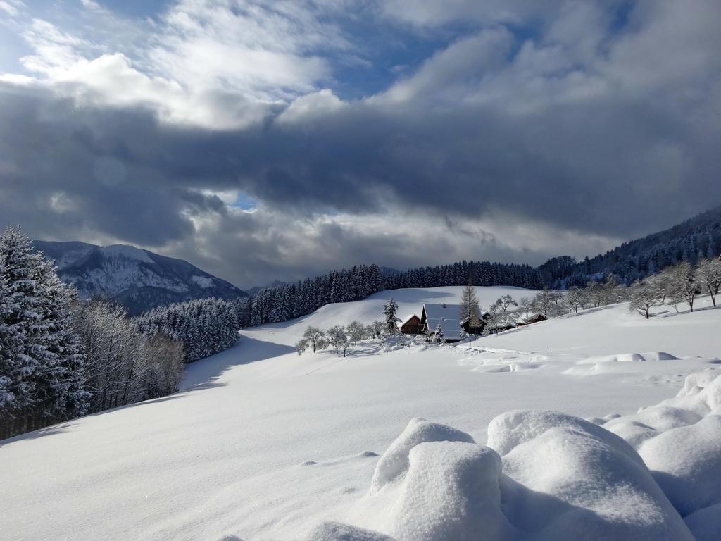Ferienhof Margarethengut Unterach am Attersee Luaran gambar