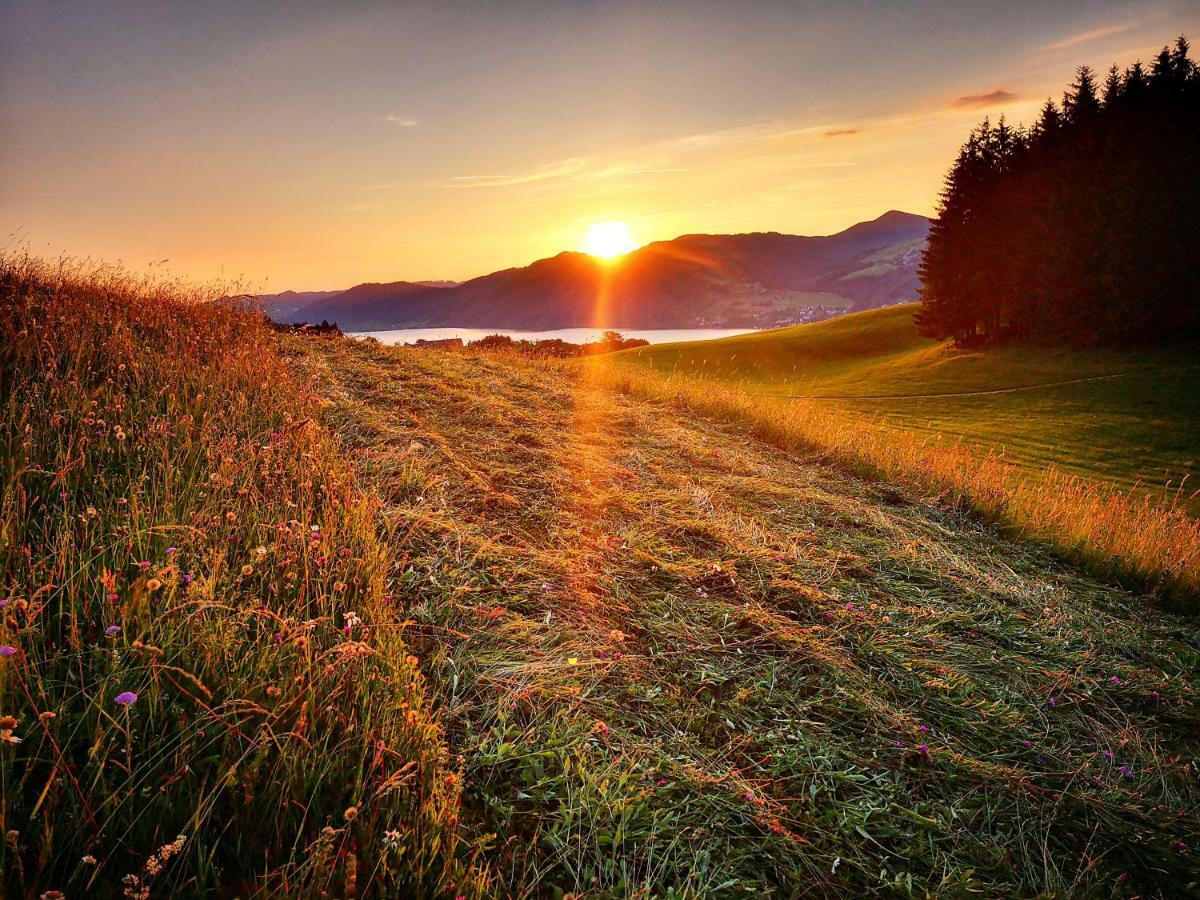 Ferienhof Margarethengut Unterach am Attersee Luaran gambar